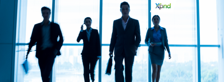 Foreign Director in a PT PMA - xpnd