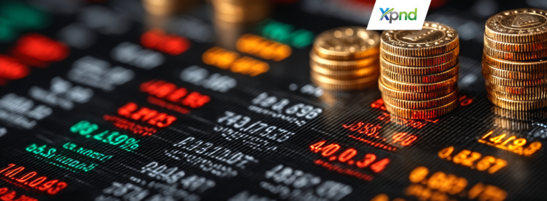 proof of capital injection for foreign investment limited liability company - xpnd