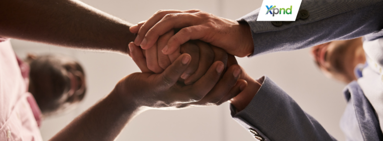 Joint Venture Structure - xpnd