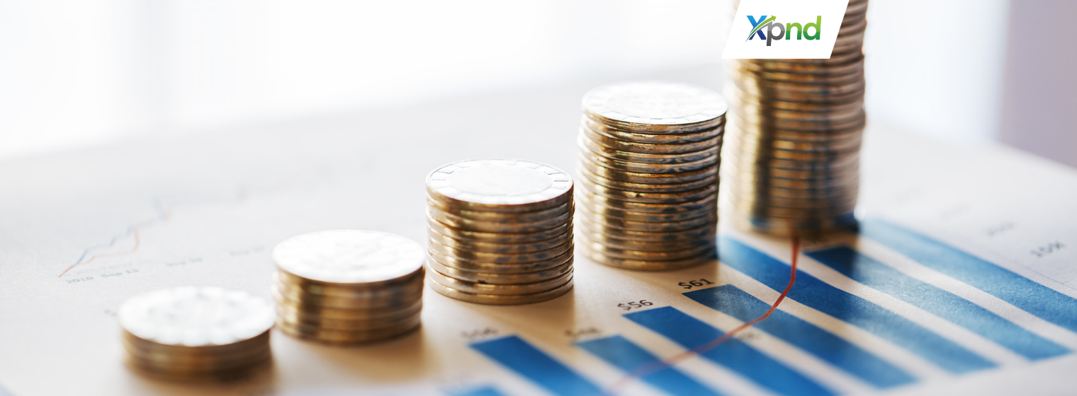 Positive Investment List Indonesia 2024 - xpnd