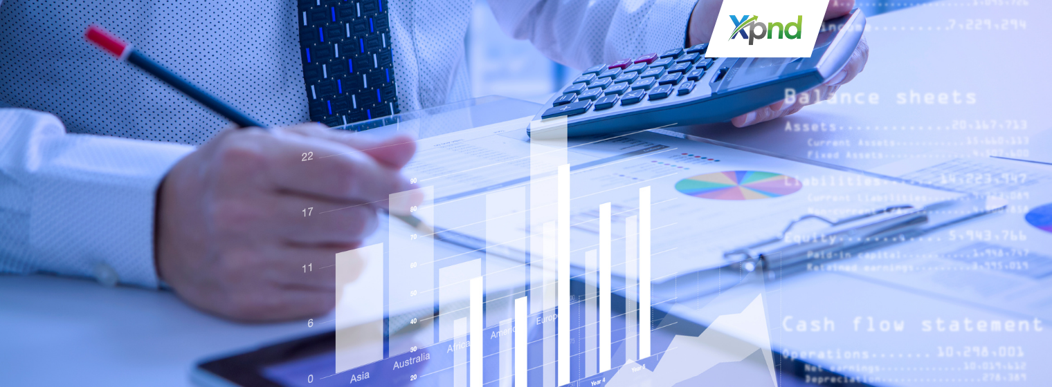 Investment Cash Flow Strategy - xpnd