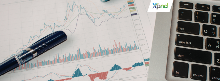 how to report LKPM - xpnd