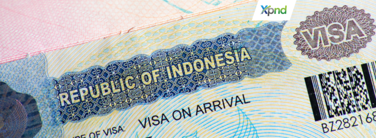 KITAS Investor and Work Permit - xpnd