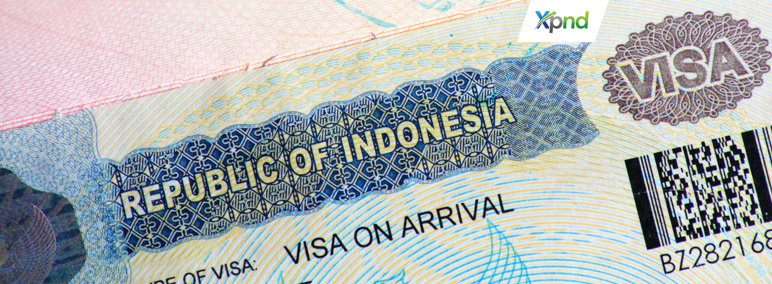 KITAS Investor and Work Permit - xpnd