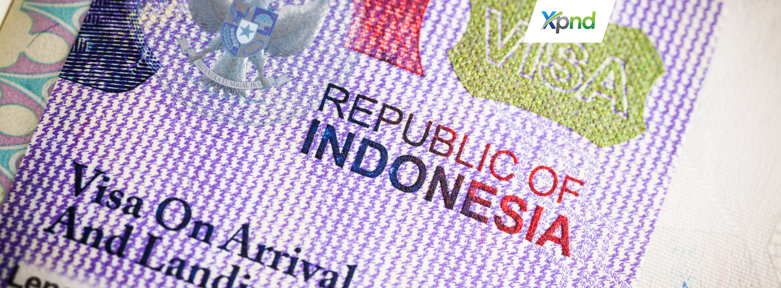 Benefits of KITAS Investor - xpnd