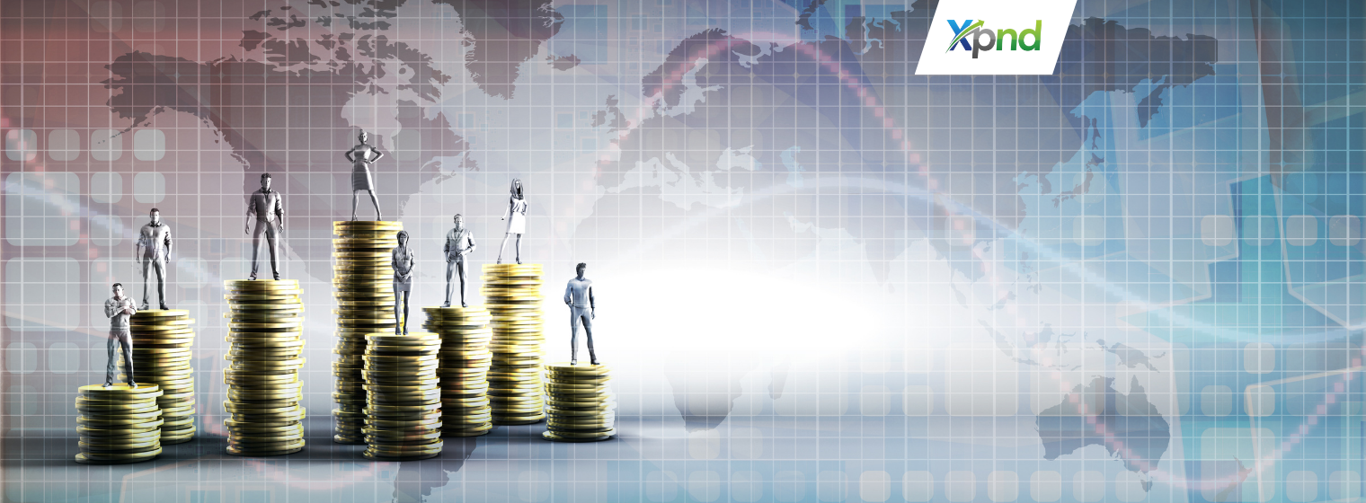 PT PMA and PT PMDN Differences - xpnd