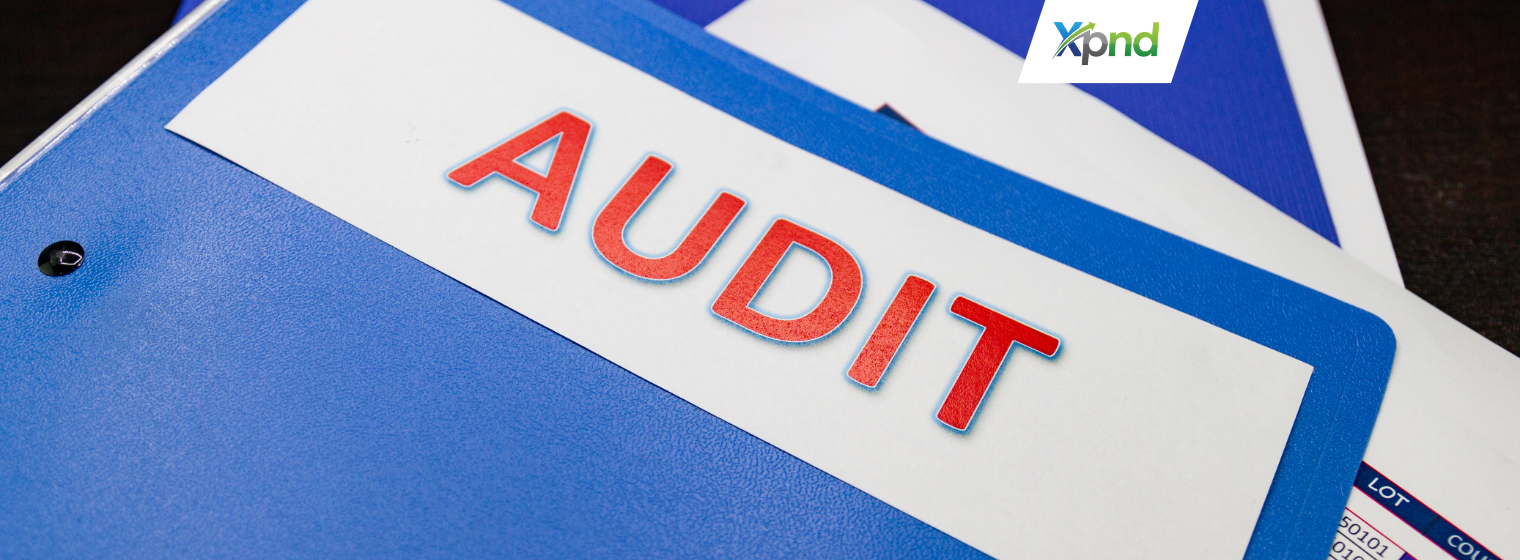 Audit Requirements Indonesia - xpnd