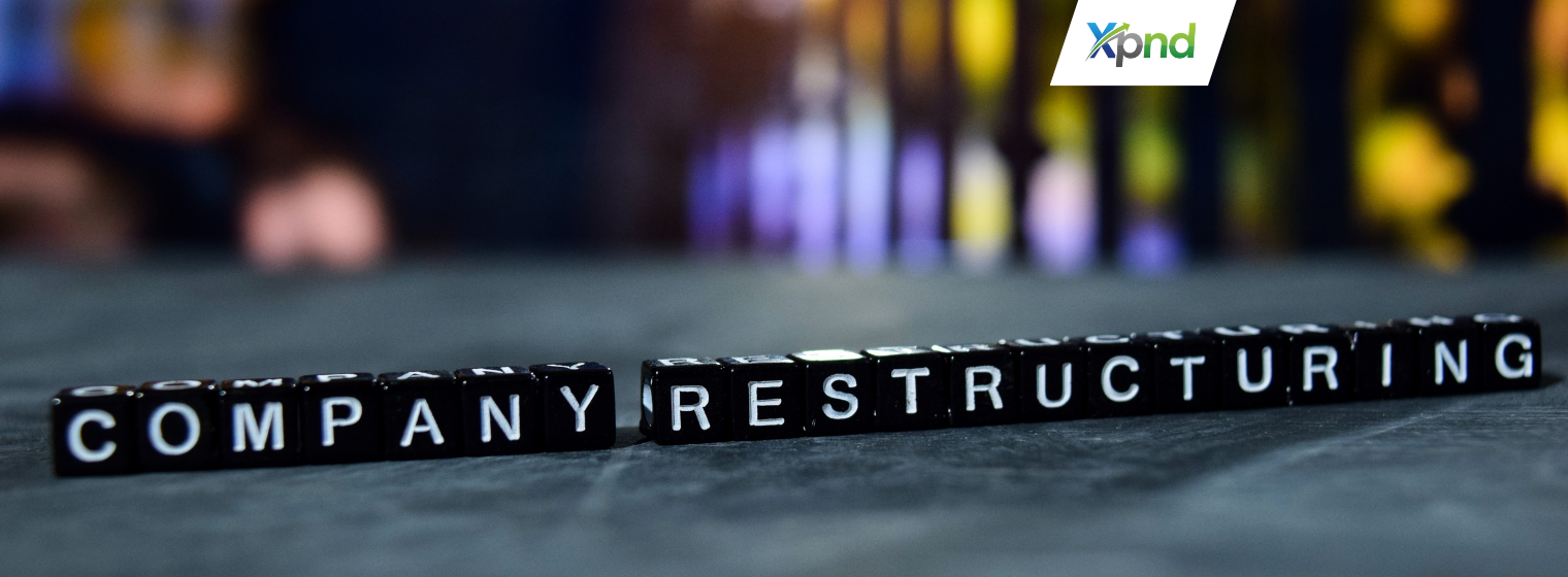 How to Restructure a PT in Indonesia - xpnd