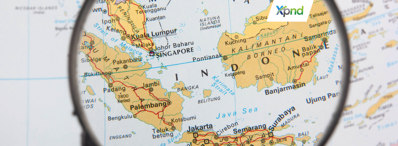 kitap vs kitas - xpnd