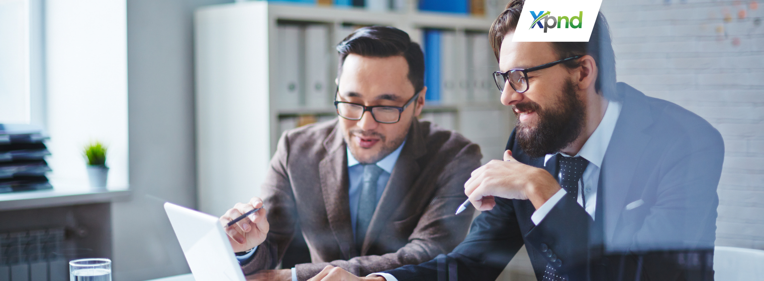 market entry consulting bali - xpnd