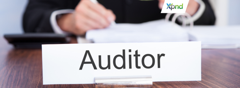 tax Audit pt pma indonesia case study - xpnd