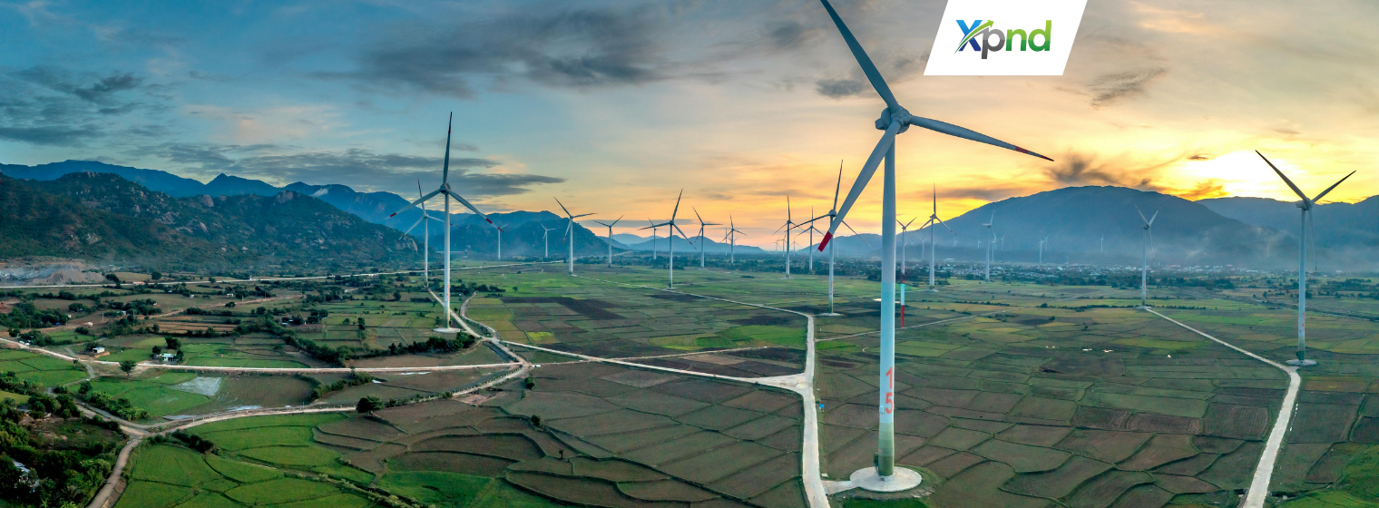 renewable energy investment in indonesia - xpnd