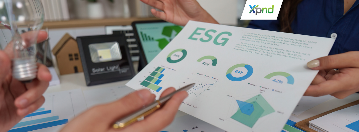 governance in indonesia around esg - xpnd